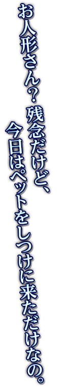 お人形さん？残念だけど、今日はペットをしつけに来ただけなの。