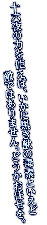 十六夜の力を使えば、いかに黒き獣の毒素といえど敵ではありません。どうかお任せを。