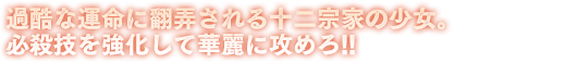 過酷な運命に翻弄される十二宗家の少女。
必殺技を強化して華麗に攻めろ!!