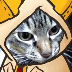 加藤勇樹