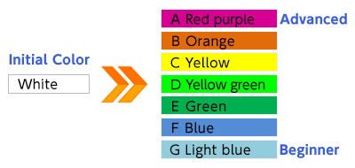 About Network Color