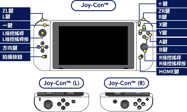 Joy-Con™