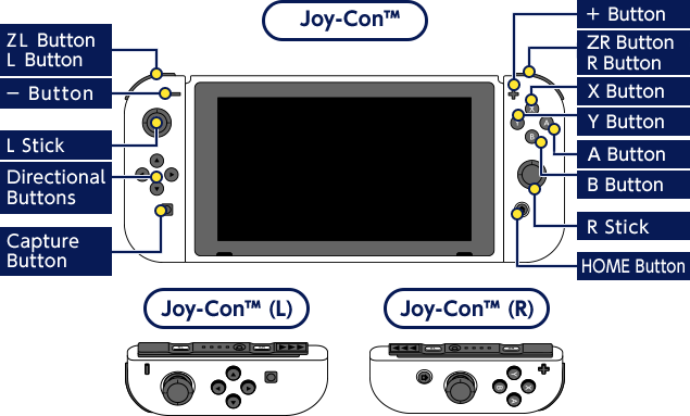 Joy-Con™