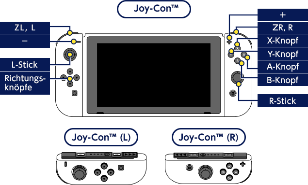 Joy-Con™